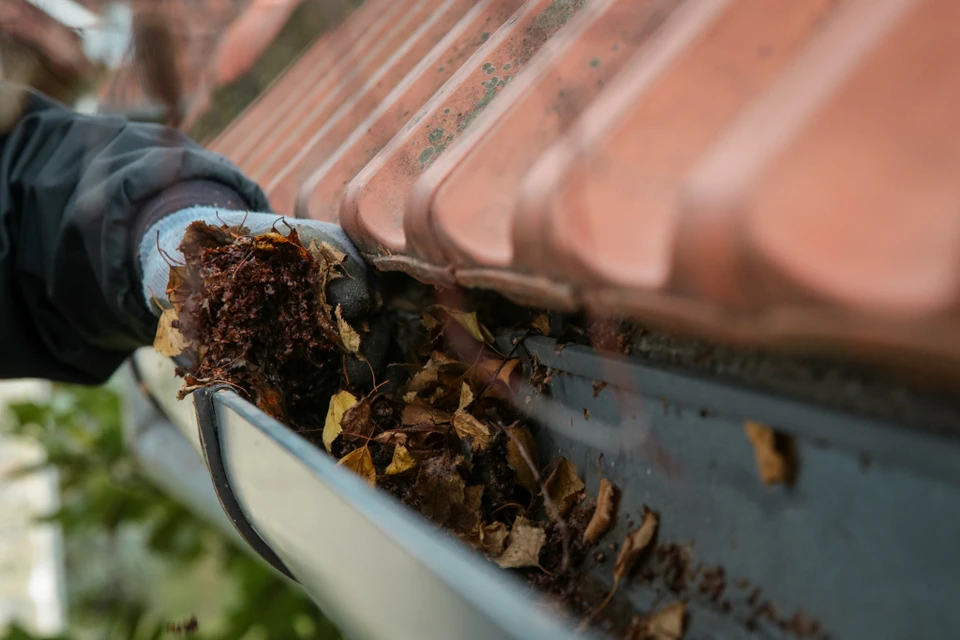 Atelier de carrosserie automobile avec technicien appliquant un produit de polissage sur le capot d'un véhicule